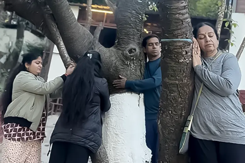 Energy Healing & Intuition